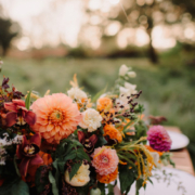 Cérémonie de mariage laïque en Pays de Savoie